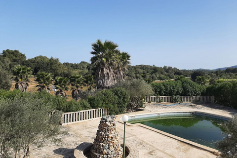 Landejendom i Arta, Mallorca, Arta - € 2.290.000 | Ref: 12 - foto 8
